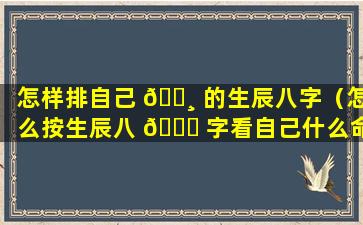 怎样排自己 🕸 的生辰八字（怎么按生辰八 🕊 字看自己什么命）